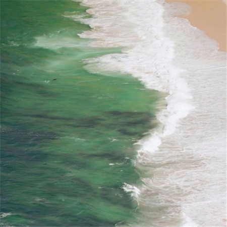 农林保水剂科普系列六：保水剂对土壤安全性的影响