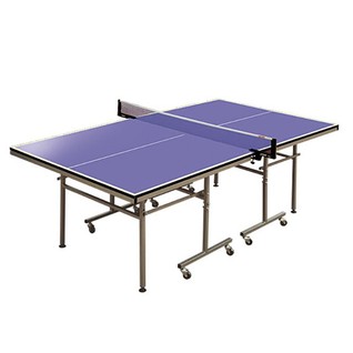 红双喜TM616家庭娱乐乒乓球台DHS  Family Games Table Tennis Table  
